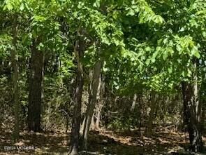 Property Photo: 0 Montefiore Avenue NJ 08527