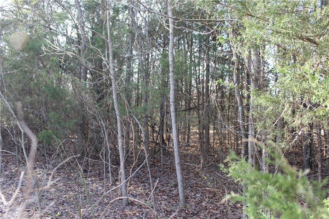 Property Photo:  761-00013-000 Falltime Drive  AR 72619 