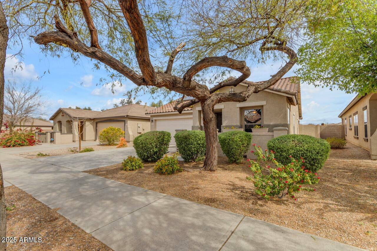 Property Photo: 21816 E Puesta Del Sol -- AZ 85142