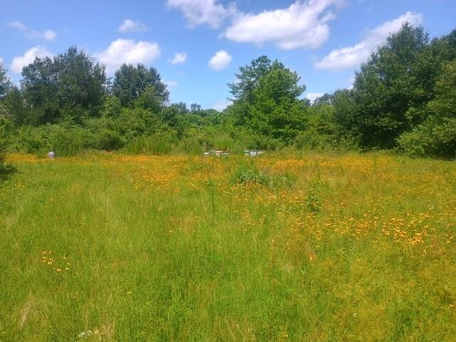 Property Photo: 38241 Wiggins Road TX 77445