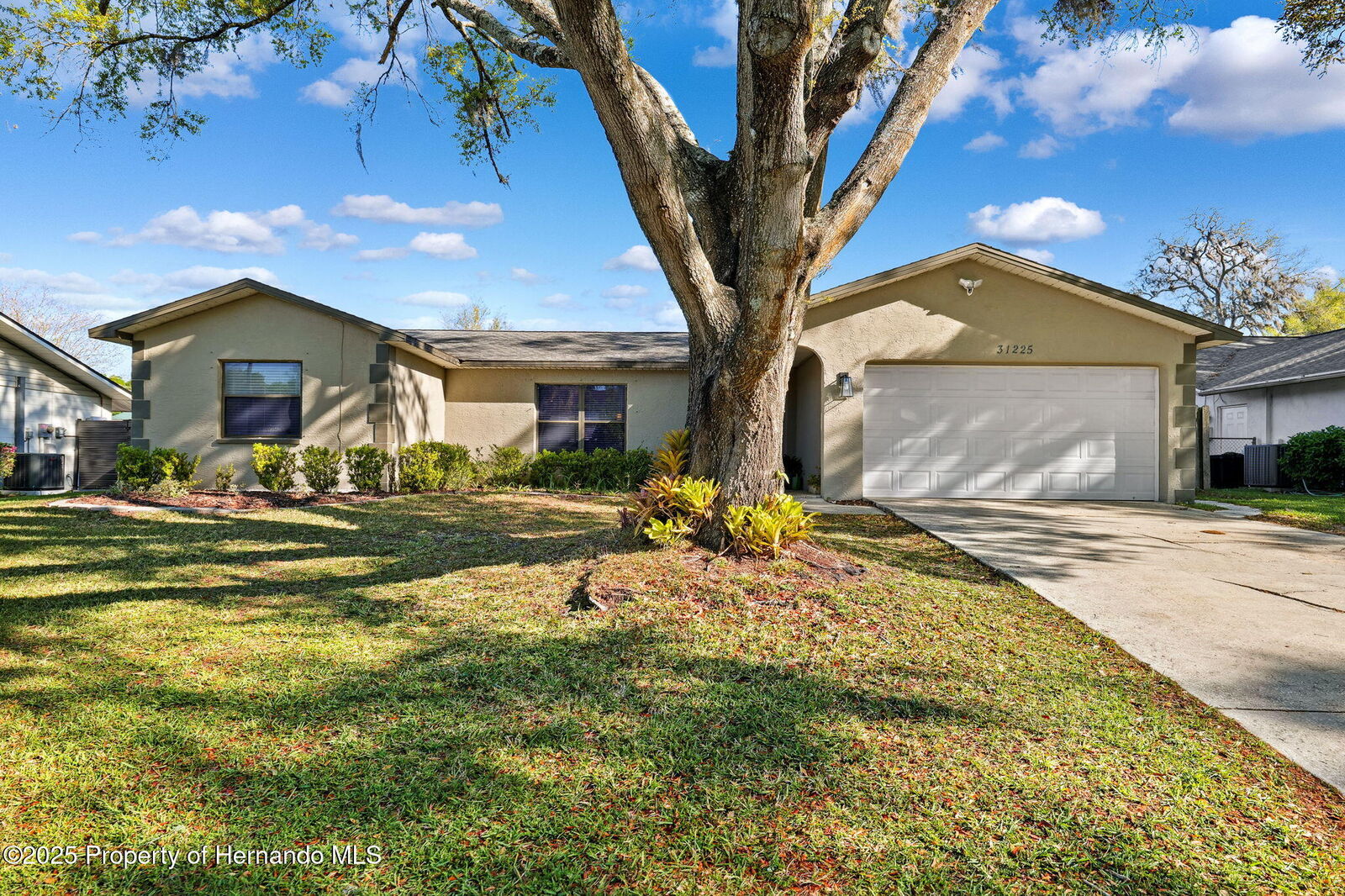 Property Photo:  31225 Stoney Brook Drive  FL 34602 