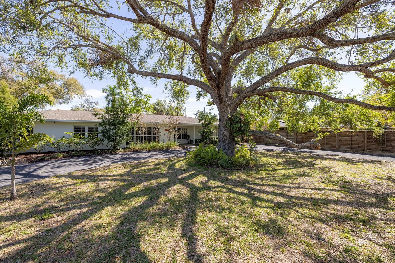 Property Photo: 1433 Park Street N FL 33710