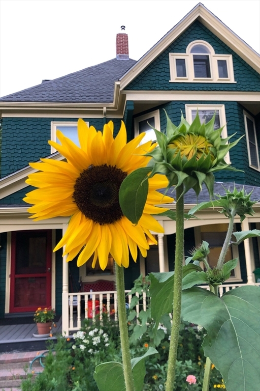 Property Photo: 285 Tremont St MA 02458
