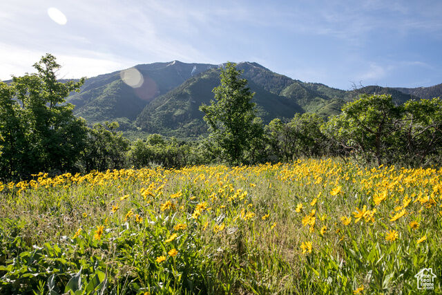 Property Photo: 983 S Summit Creek Dr 170 UT 84653