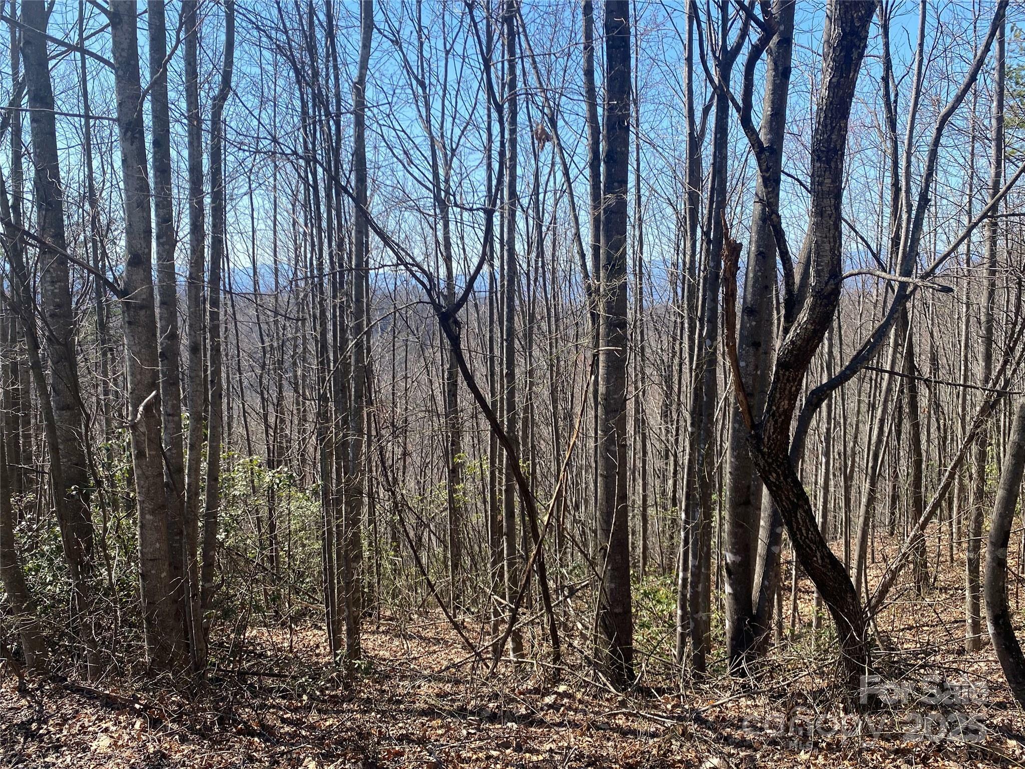 Property Photo: Lot 72 Mountain Crest Drive S NC 28752