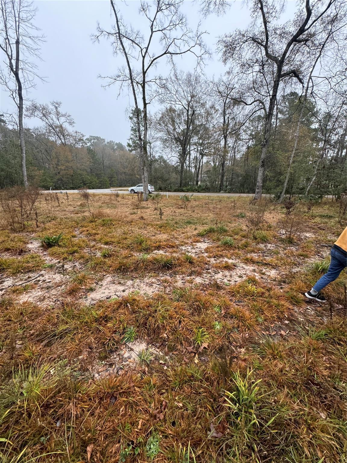Property Photo: 58 Firewood Road TX 77340