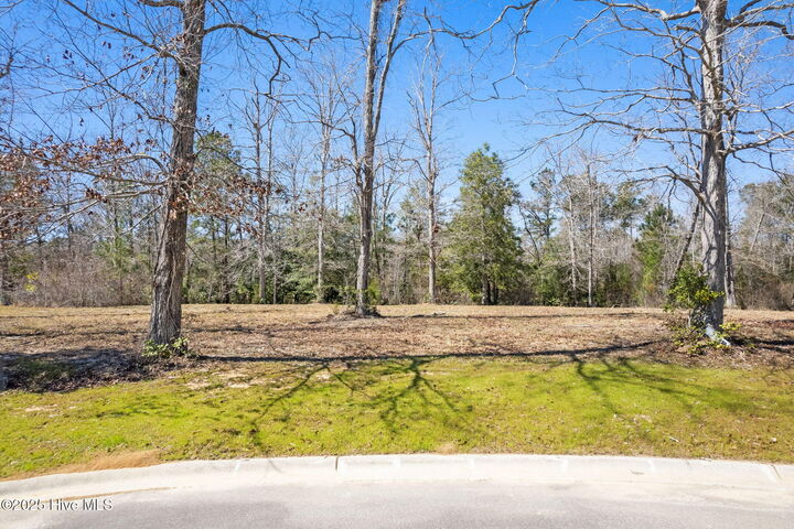 637 Squirrel Run Drive SW  Supply NC 28462 photo