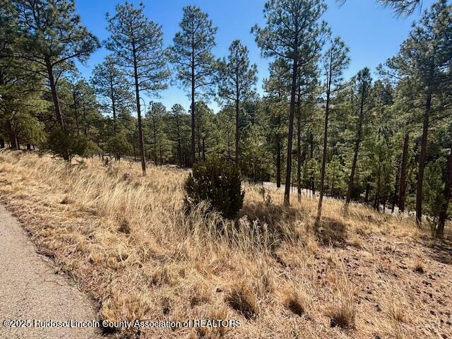 Property Photo: Lot 6 Camino Drive NM 88312