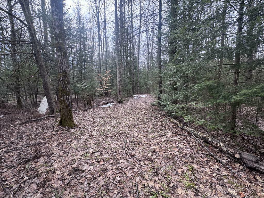 Property Photo: 16651 County Rd. 628 MI 49746