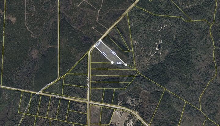 V/L 4 Timberland Estates, New Post Road  Waverly GA 31566 photo