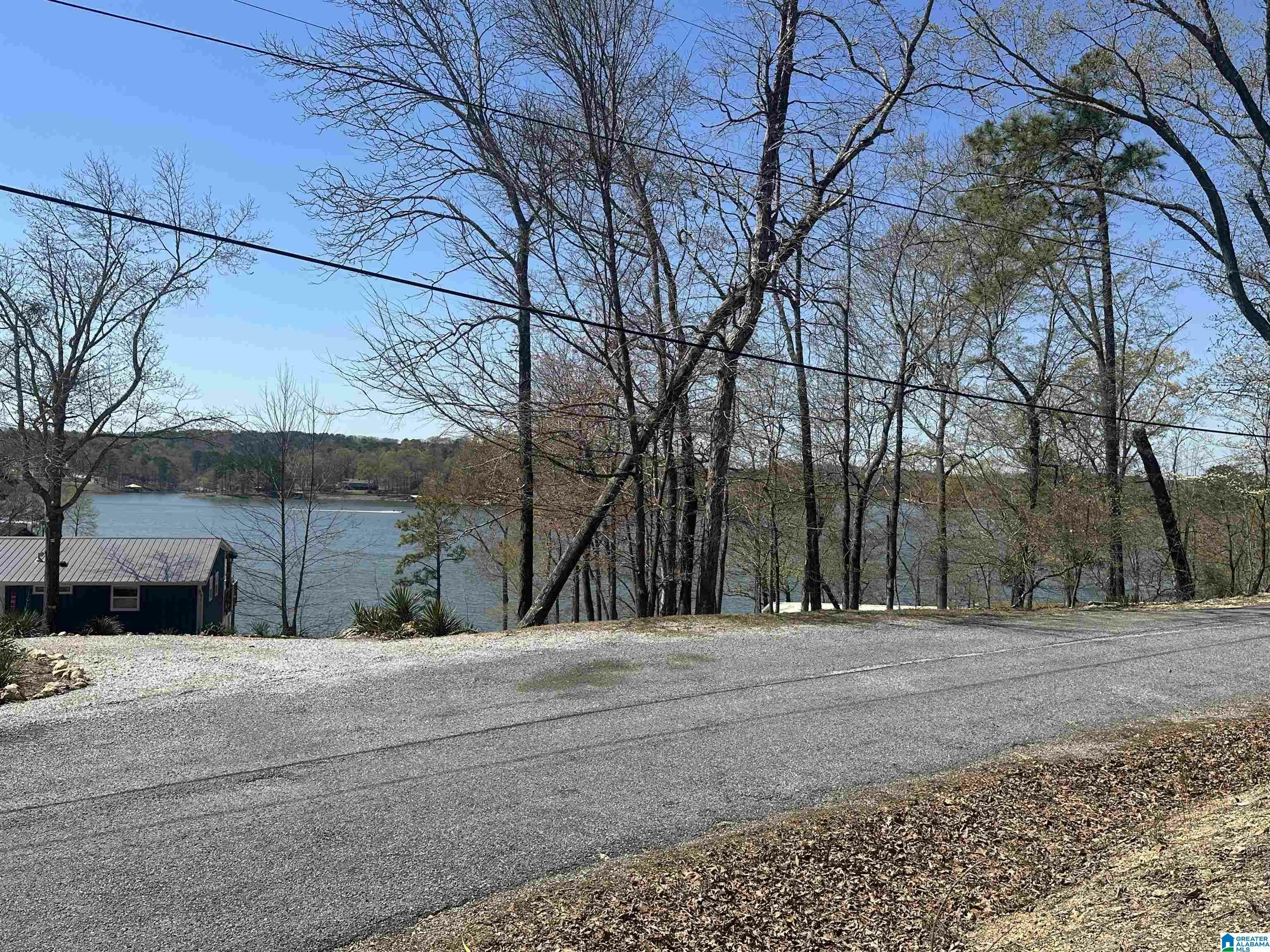Property Photo:  0 Riverbend Circle 24  AL 35160 