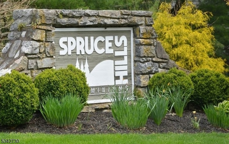 206 Spruce Hills Dr  Glen Gardner Boro NJ 08826 photo