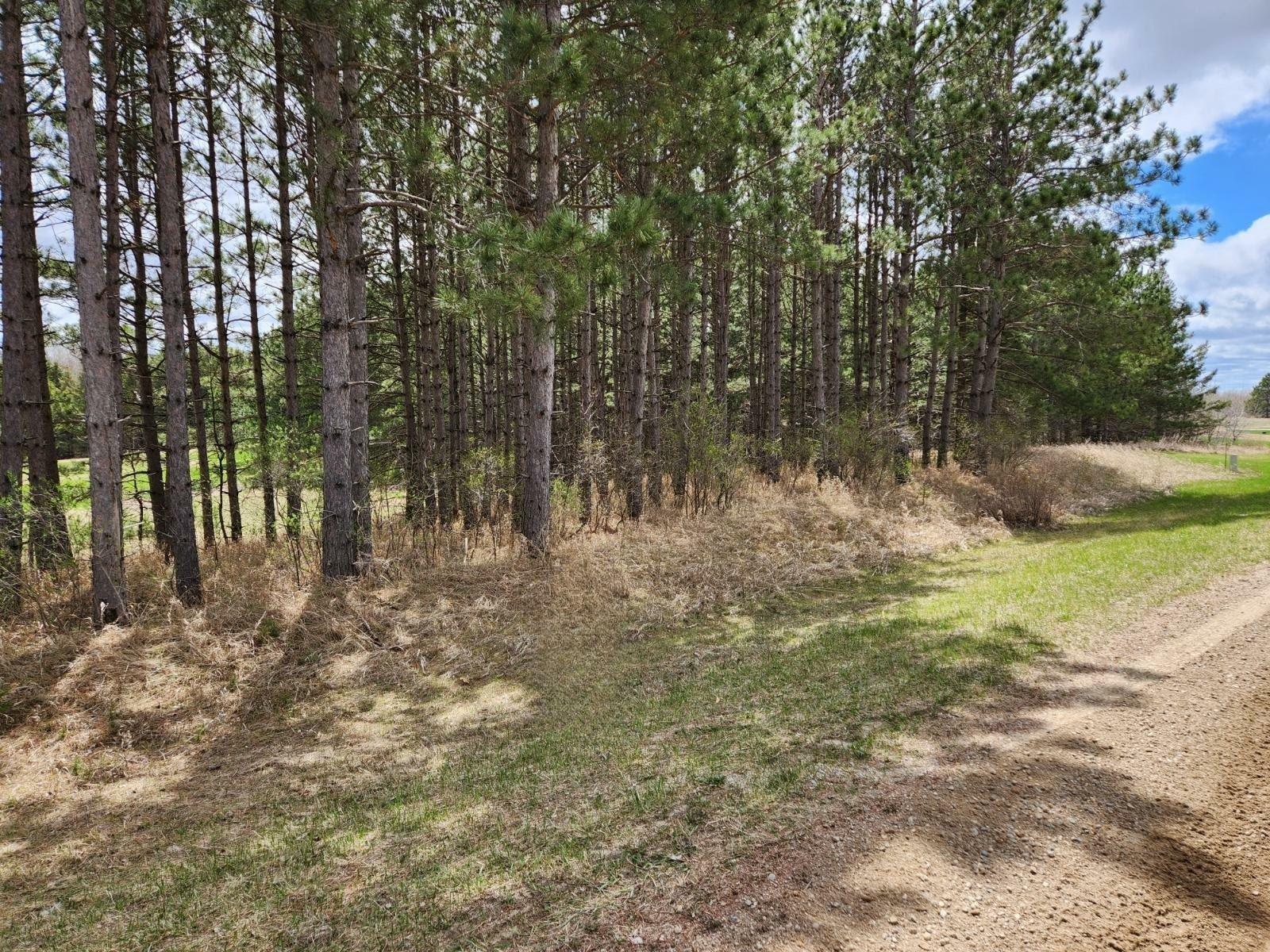 Property Photo: Xxx Goldfinch Circle NE MN 56354