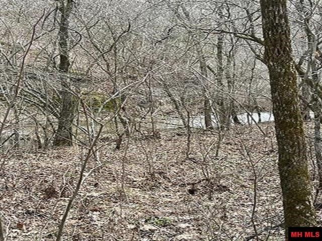 Property Photo: Jimmy Creek Trail AR 72687