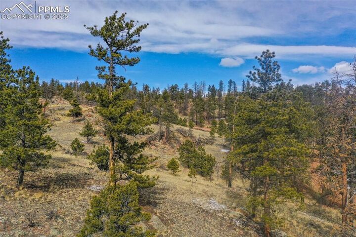 Property Photo: 397 Chateau West Drive CO 80816