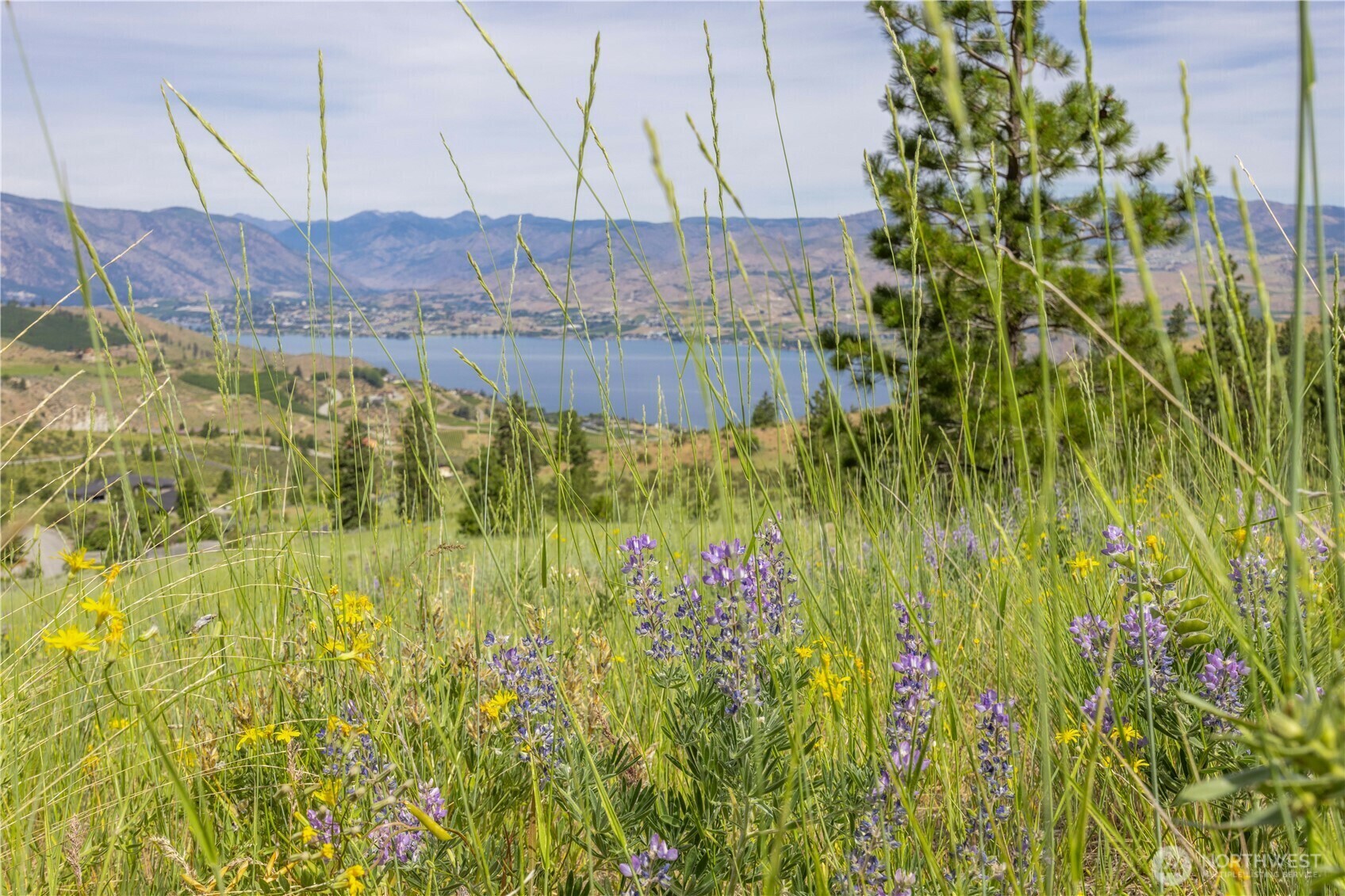 Property Photo: 23 Eagle Crest (Lot 23) Road WA 98816