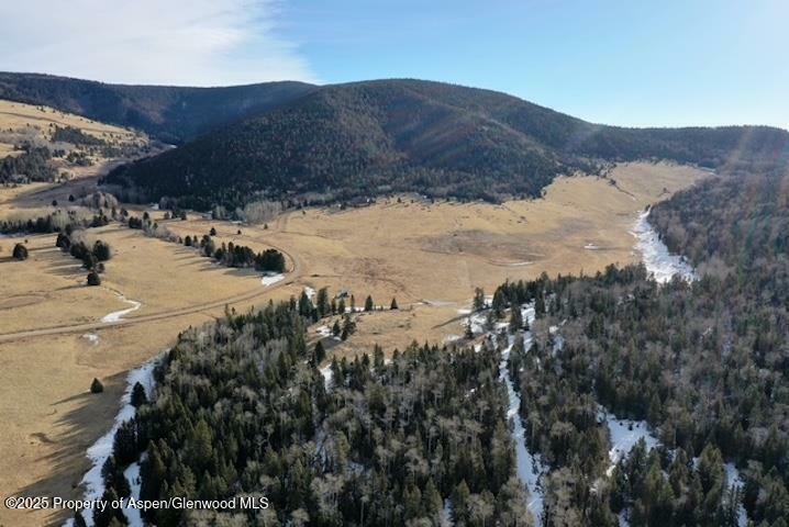 Property Photo: 49 Acres Off El Camino Real NM 87710
