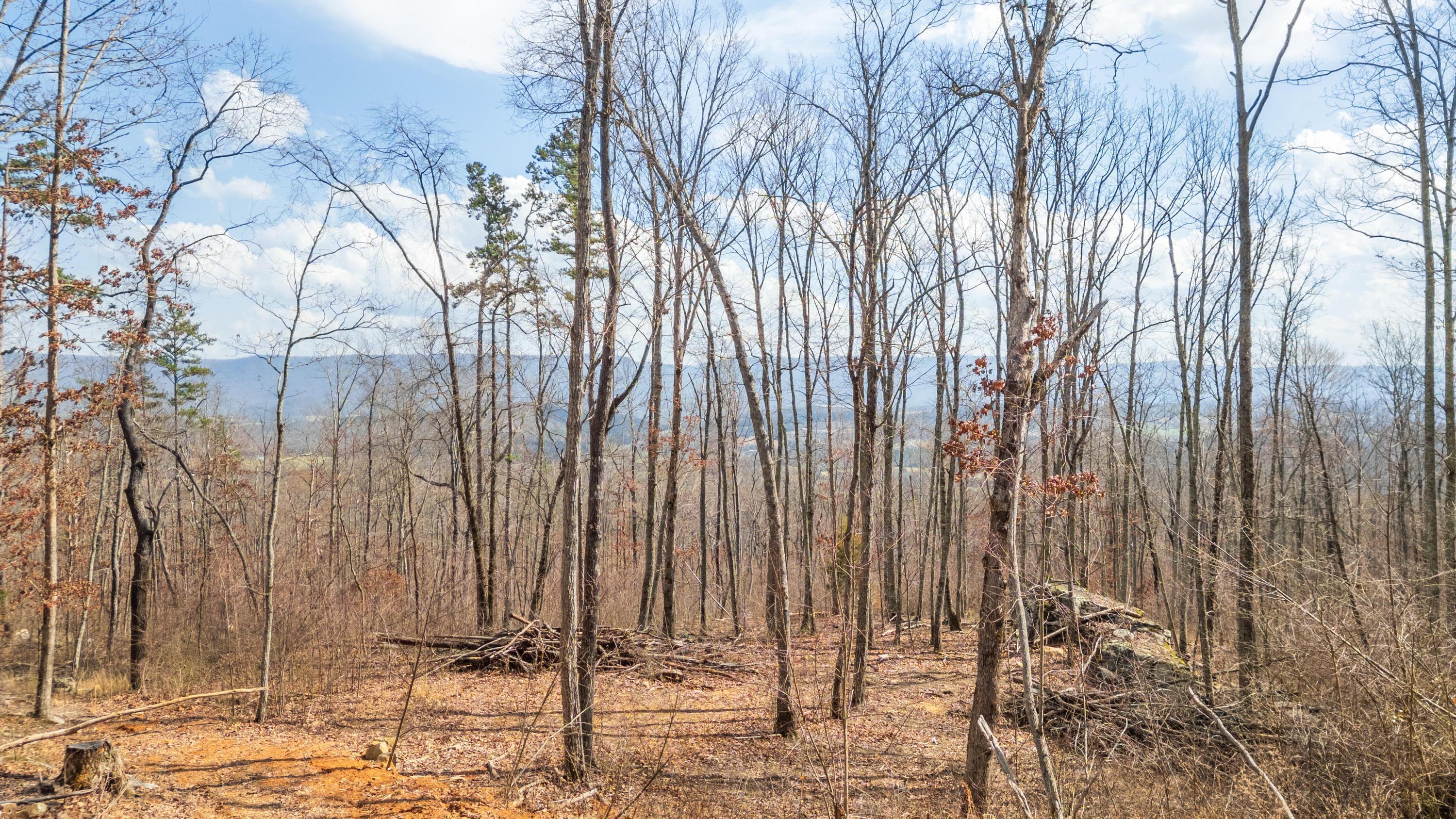 Property Photo: 0 Bench Road TN 37367