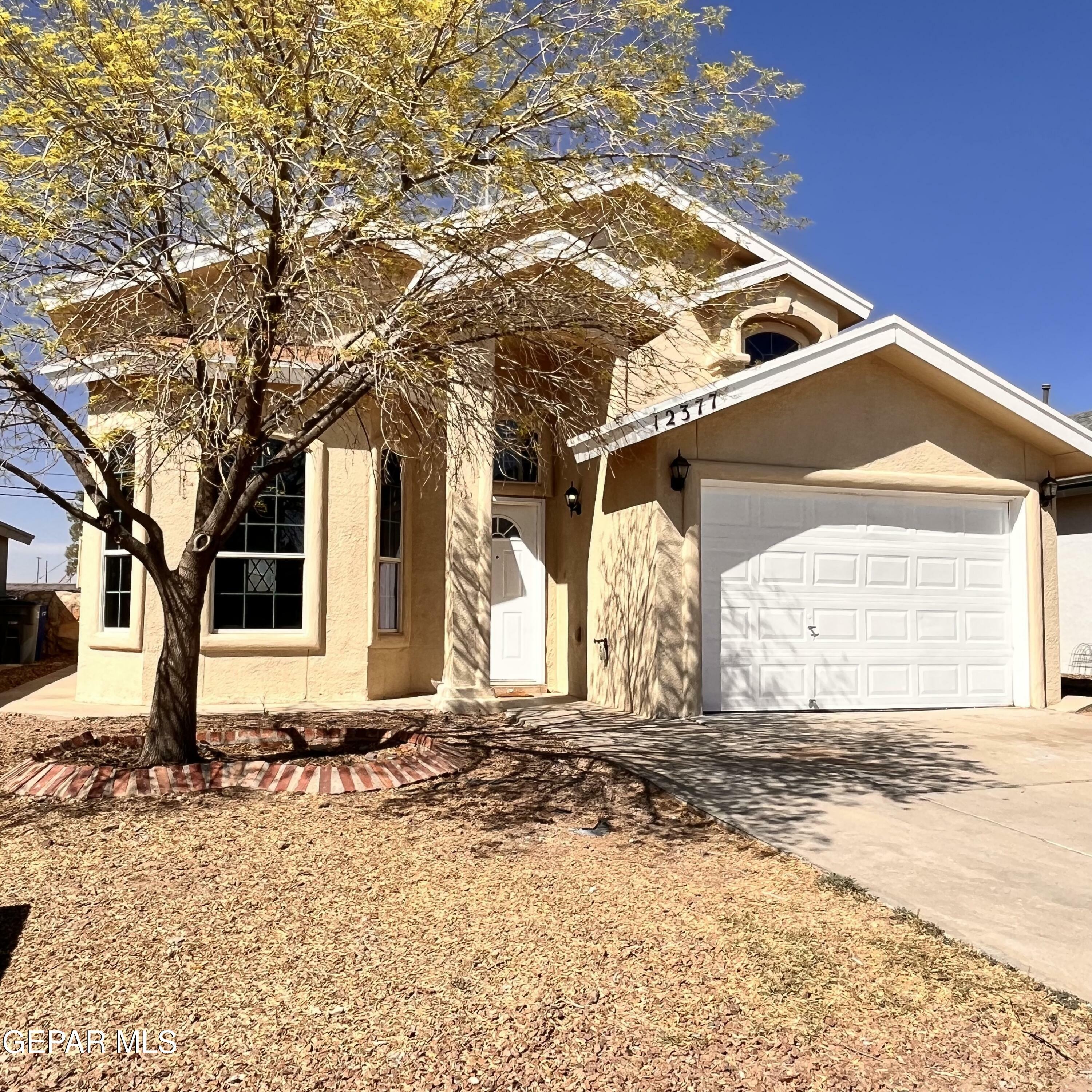 12377 Tierra Arena Drive  El Paso TX 79938 photo