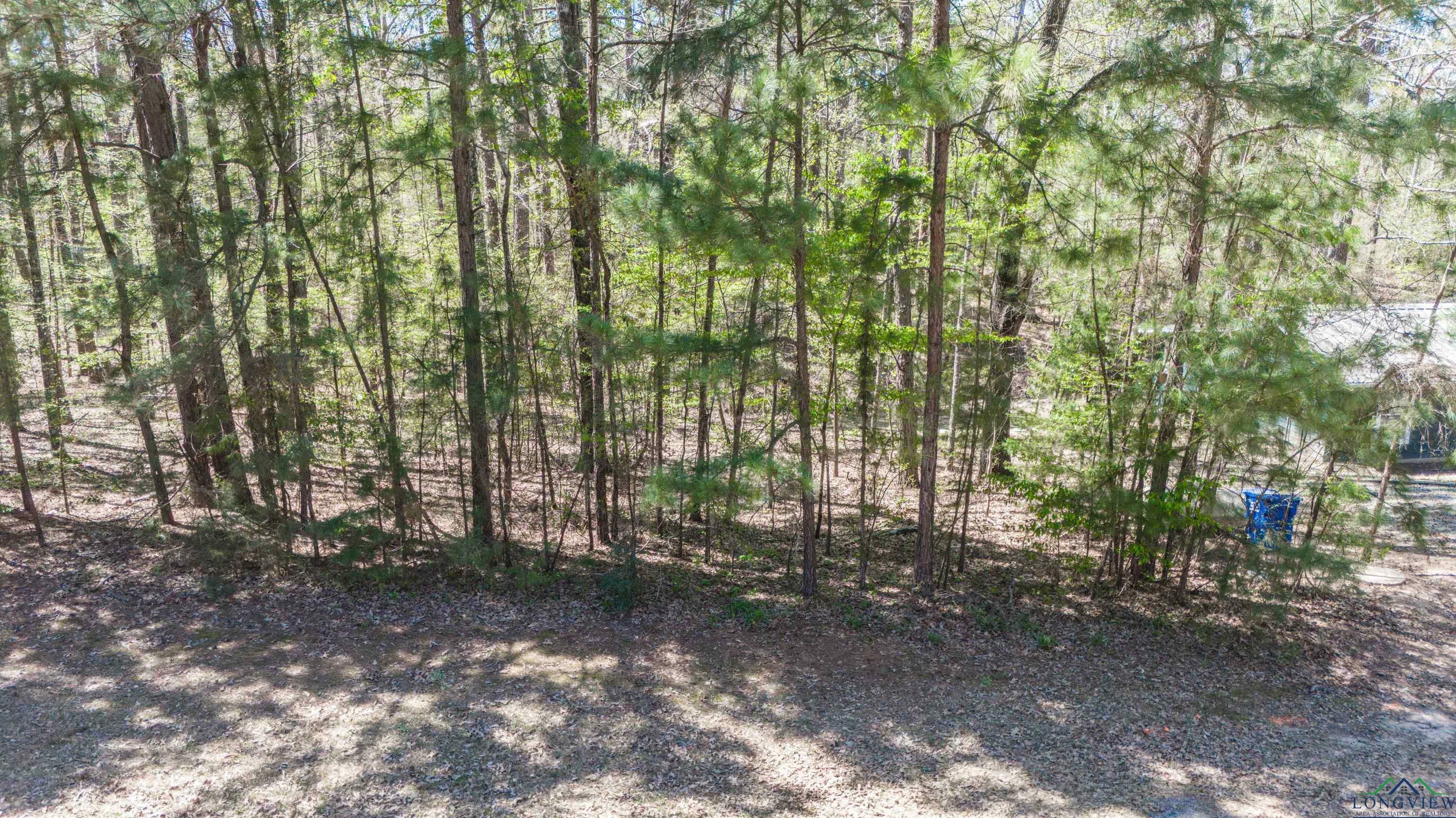 Property Photo: Tbd Private Road 8706 TX 75657