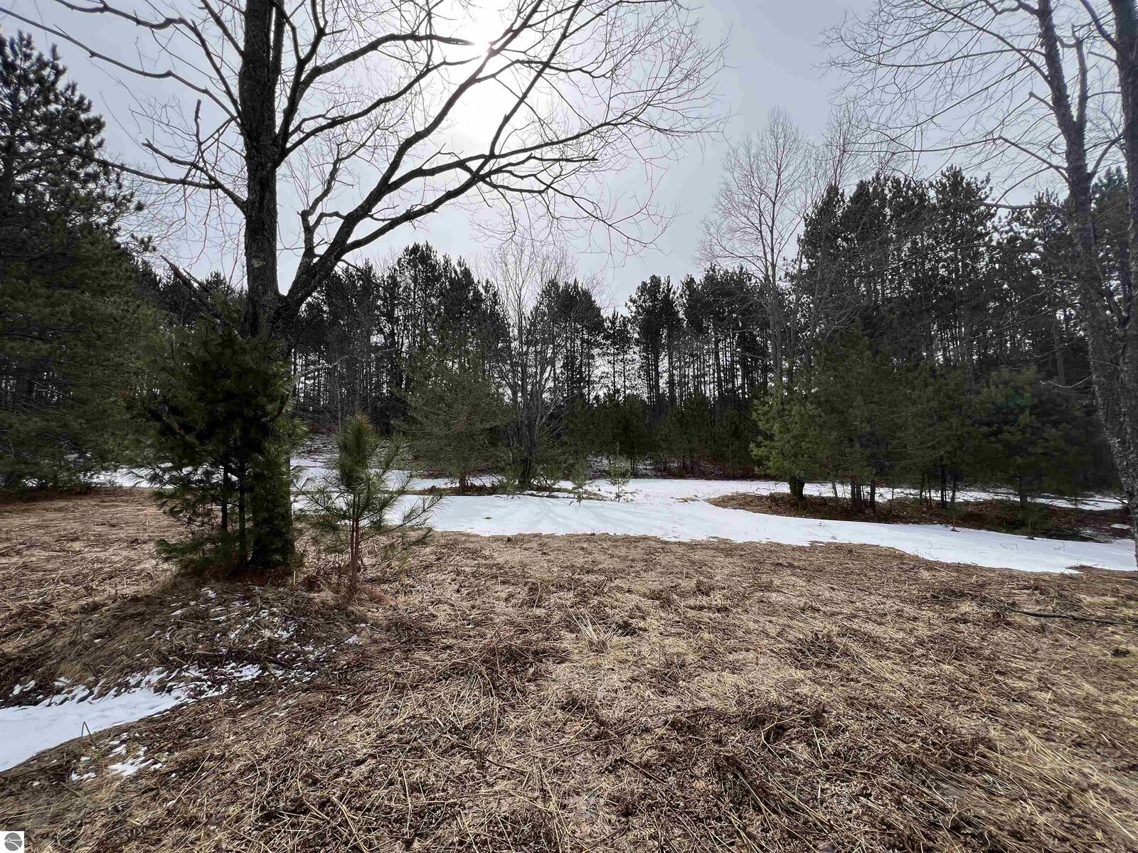 Property Photo: 3716 SW Luce Road MI 49680