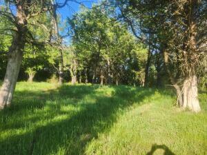 Property Photo: Tract 3 Castleberry Lane AR 72846
