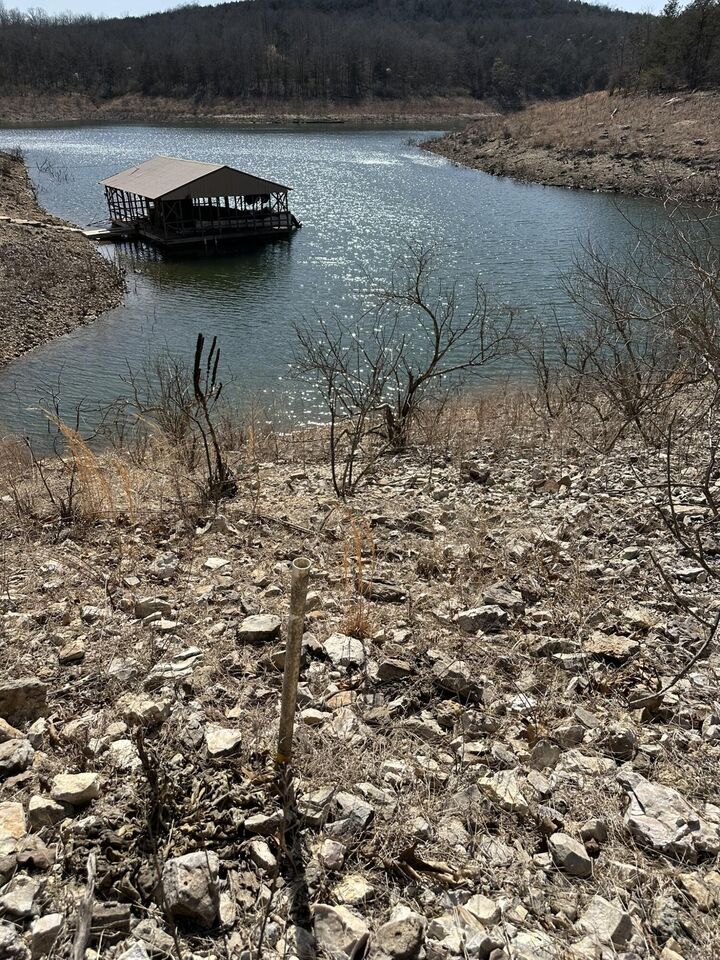 Property Photo:  299 Mushroom Lane  MO 65761 