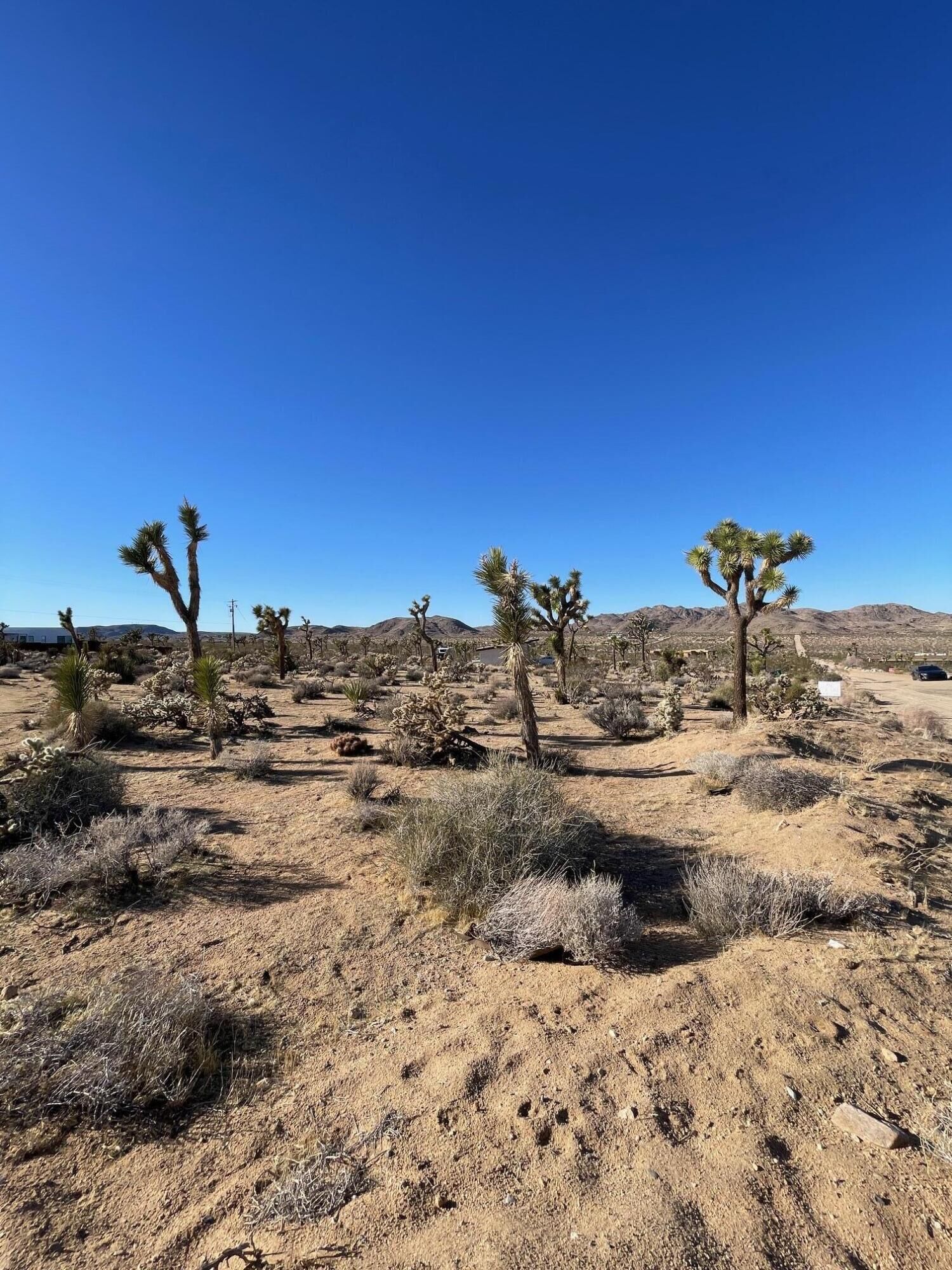 Property Photo:  0 Saddleback Road  CA 92252 