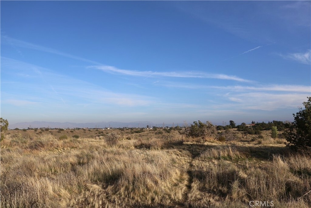 Property Photo: 9955 Macron Street CA 92344
