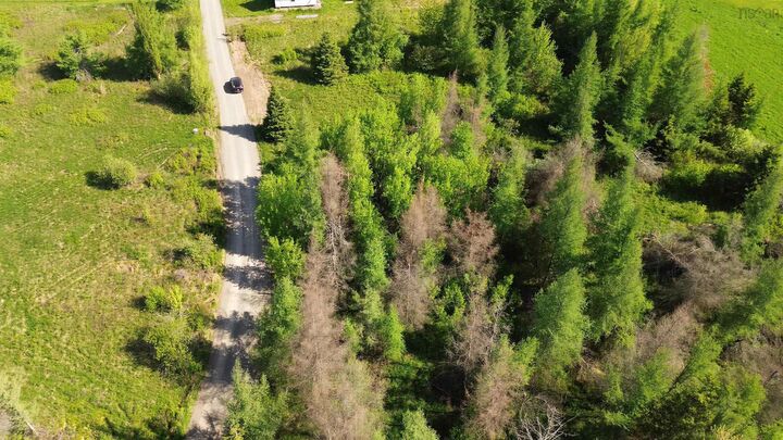 Property Photo:  Lot 55 Appalosa Trail  NS B0K 1V0 