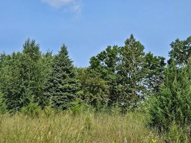 Property Photo: 13502 Johnson Street MN 55308
