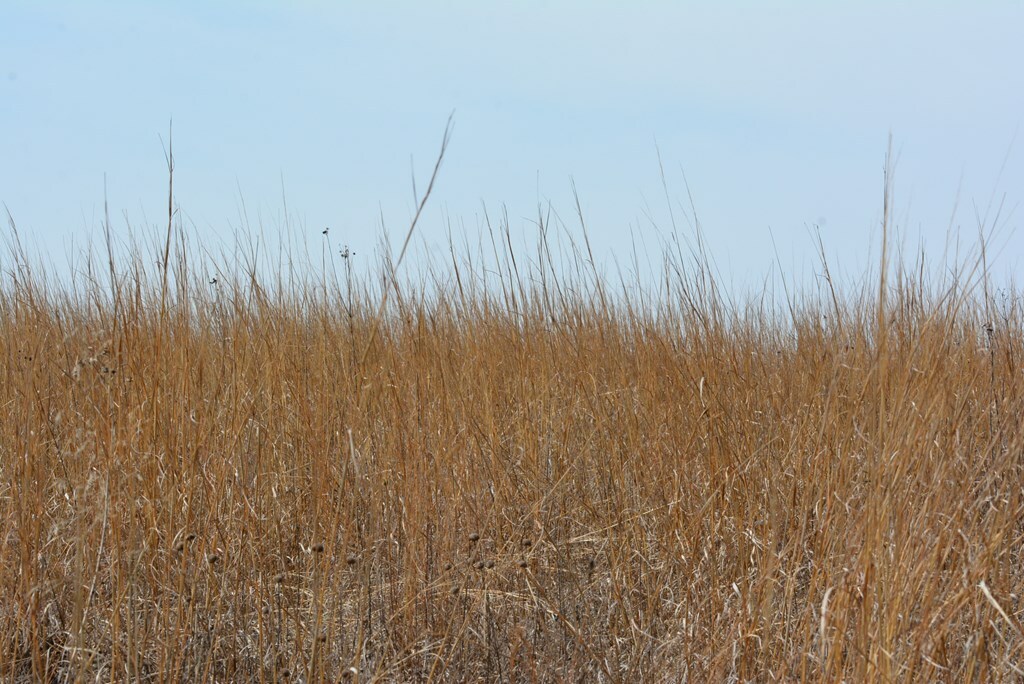 Property Photo:  0 Highway C  MO 64673 