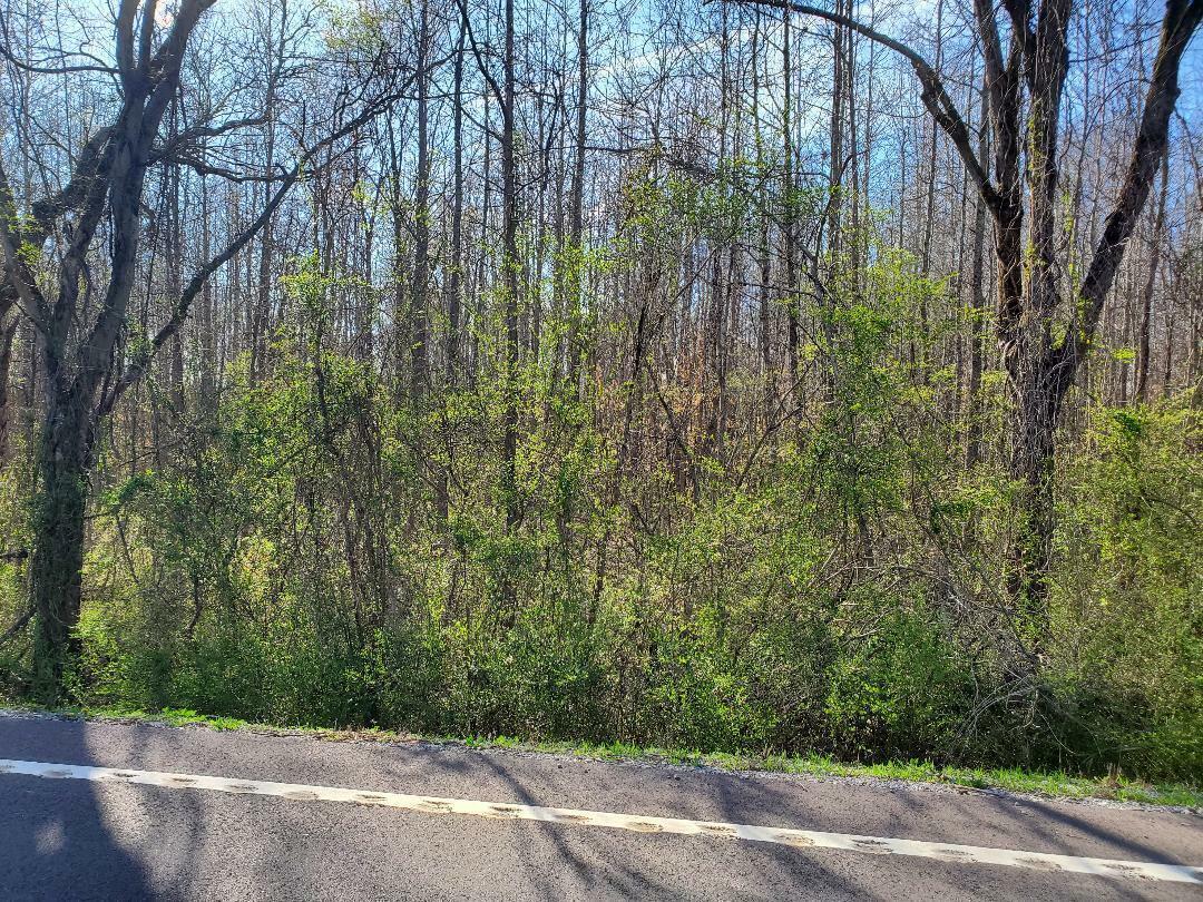 Property Photo: Lot 6 Highway 304 TN 37322