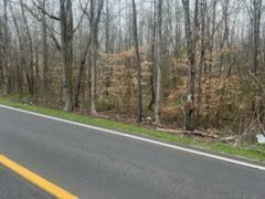 Property Photo: Lot 1 Highway 304 TN 37322