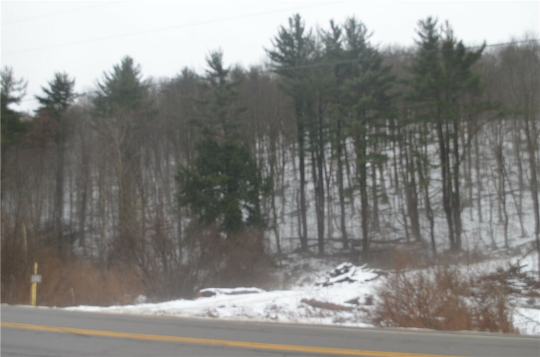 Property Photo: Rt-53 NY 14873