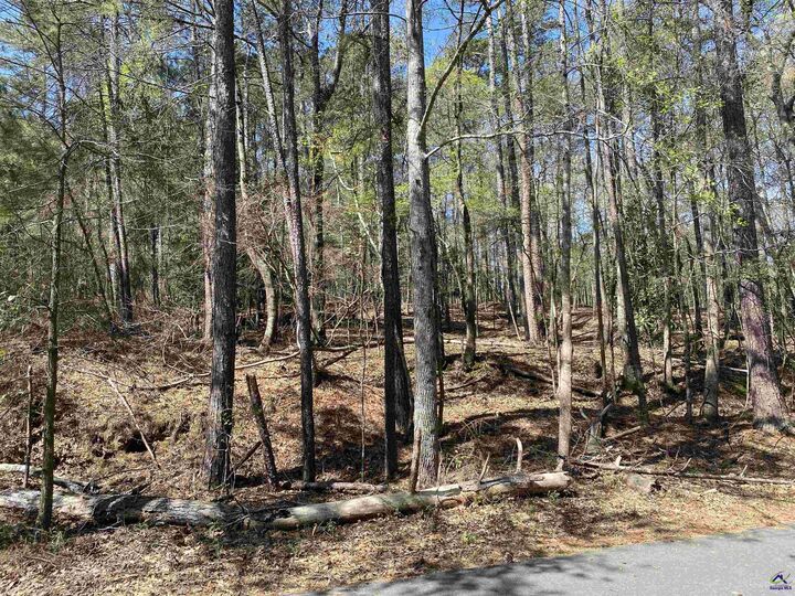 Property Photo:  0 Sandra Drive  GA 31032 