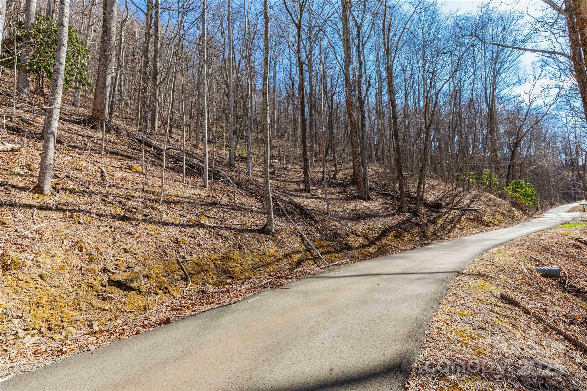 Property Photo: Tbd Halfmoon Ridge NC 28748