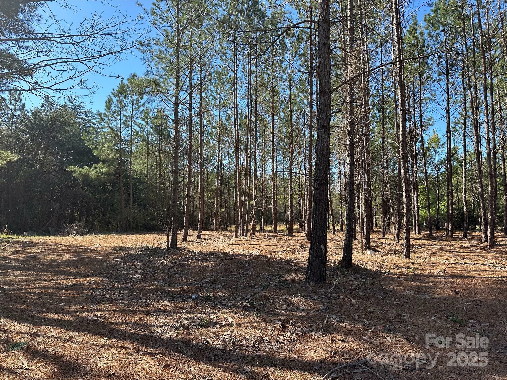 Property Photo: 4313 East Maiden Road NC 28650