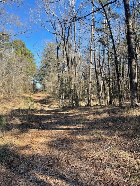 0 Deloach Road  Sibley LA 71073 photo