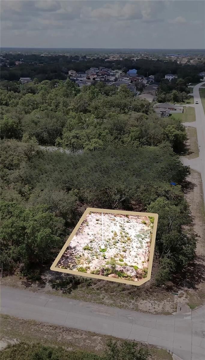 Property Photo:  449 Naples Court  FL 34759 