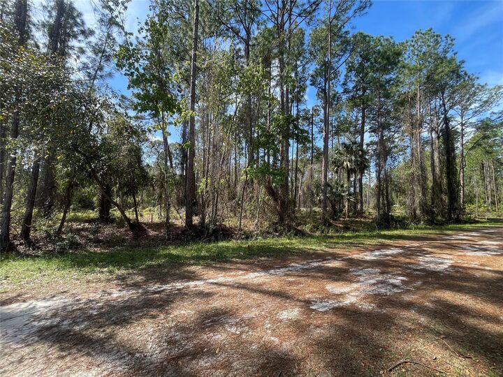 Property Photo: 107 Rosewood Street FL 32139