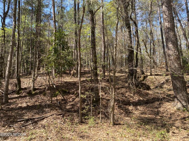 Property Photo:  0 Sandra Drive  GA 31032 