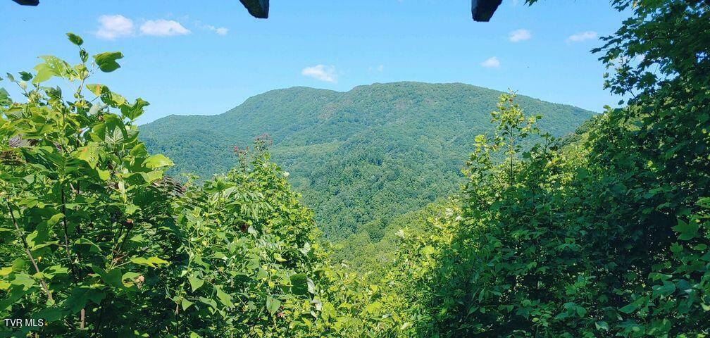 Property Photo: 174 Doty Road TN 37687