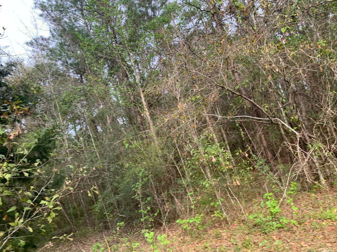 Property Photo: Xxx Works Road FL 32427