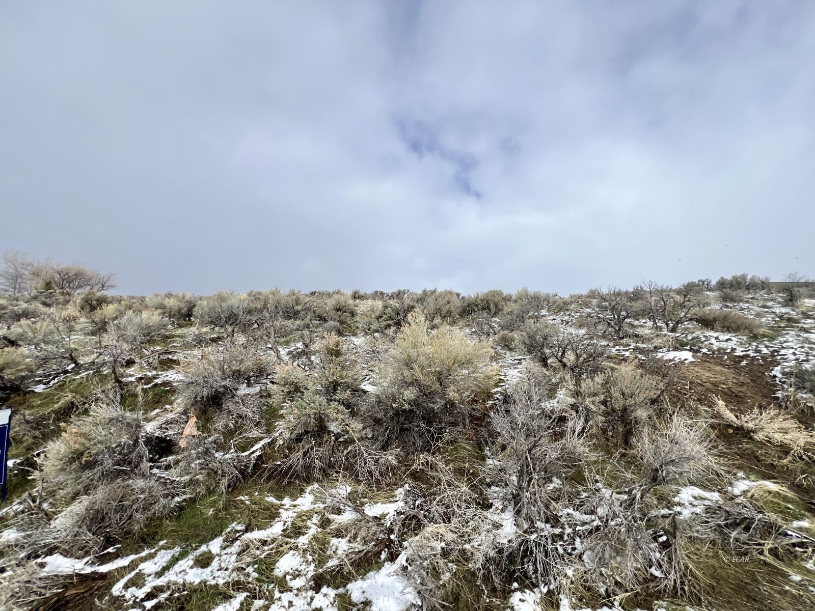Property Photo:  327 Lookout Drive  NV 89815 