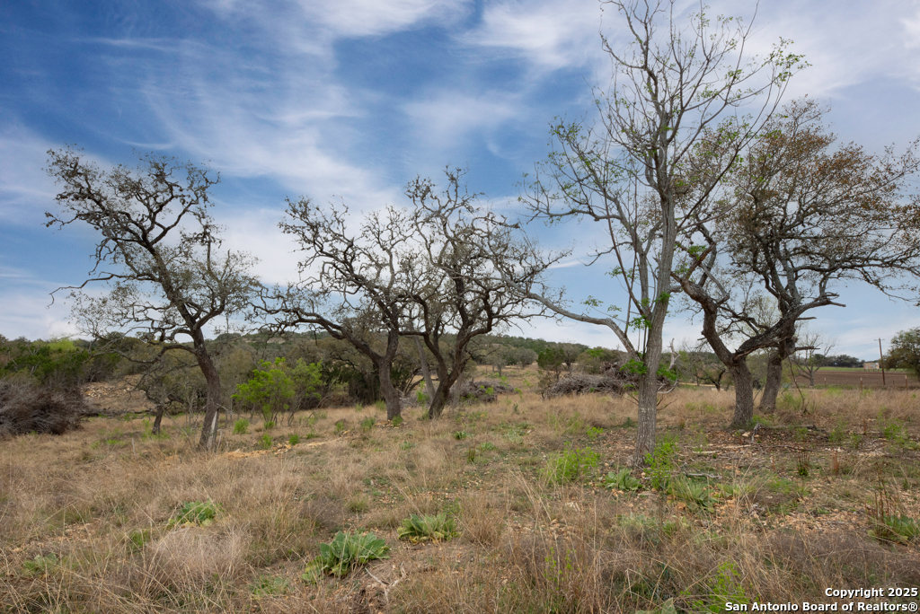 Property Photo: 4715 S Highway 16 TX 78003