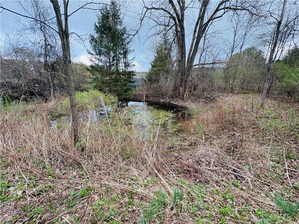 0 Marsh Road  Addison NY 14801 photo