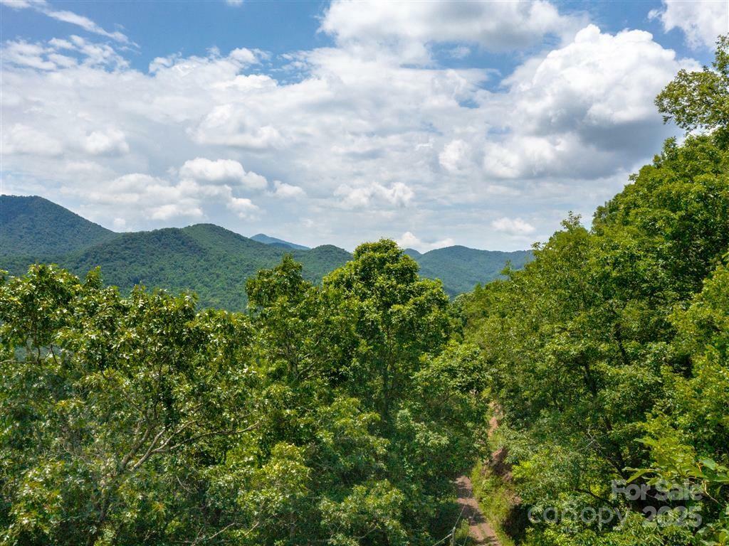 Property Photo: 21 Long Winding Road 4,5,7,11,12,14,15 NC 28779