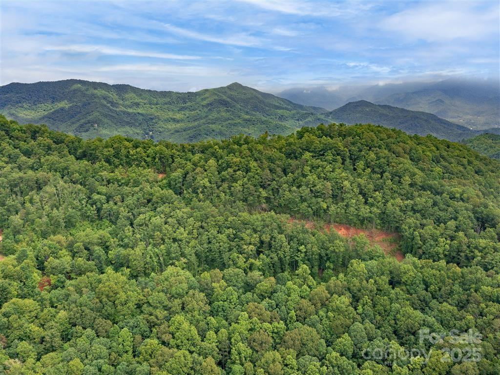 Property Photo: 21 Long Winding Road 4,5,7,11,12,14,15 NC 28779