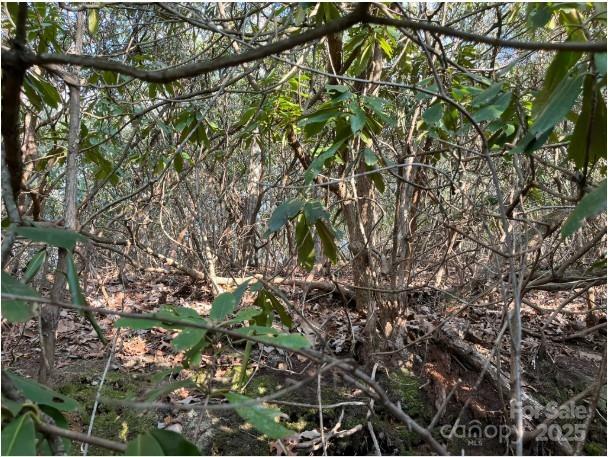 Property Photo: 00 Rules Run Road 31A NC 28721